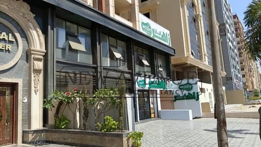 محلات تجارية للايجار في زهراء المعادى، القاهرة - WhatsApp Image 2026-06-17 at 4.08. 00 PM (2). jpeg محلات تجارية للايجار في زهراء المعادى، القاهرة - WhatsApp Image 2026-06-17 at 4.08. 00 PM (2). jpeg