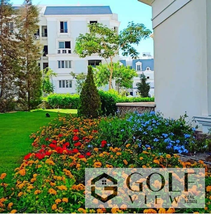 5 Life-in-mountain-view-hyde-park. jpg