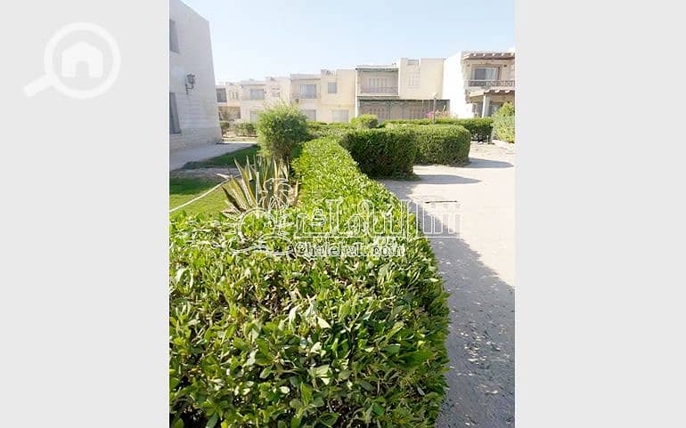10 شالية-للبيع-قرية-تيوليب-العين-السخنة- (6). jpg