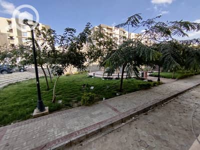 فلیٹ 3 غرف نوم للبيع في القاهرة الجديدة، القاهرة - WhatsApp Image 2026-06-17 at 5.36. 01 PM. jpeg فلیٹ 3 غرف نوم للبيع في القاهرة الجديدة، القاهرة - WhatsApp Image 2026-06-17 at 5.36. 01 PM. jpeg