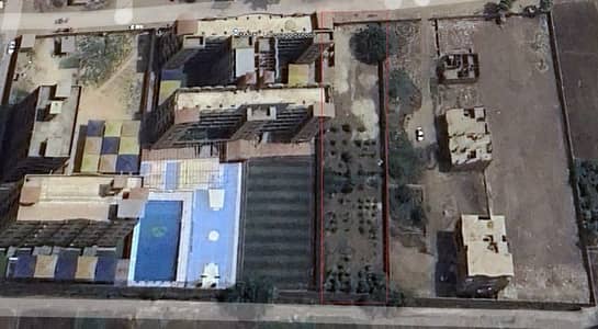 Other Commercial for Sale in Banha, Qalyubia - ارض للبيع في بنها - القليوبية - كردون مباني Other Commercial for Sale in Banha, Qalyubia - ارض للبيع في بنها - القليوبية - كردون مباني
