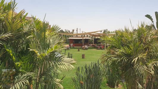 4 Bedroom Penthouse for Sale in Katameya, Cairo - 953d61ad-e2dc-41e9-8fce-06264c1d816b. jpg 4 Bedroom Penthouse for Sale in Katameya, Cairo - 953d61ad-e2dc-41e9-8fce-06264c1d816b. jpg