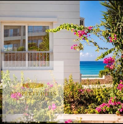 4 Bedroom Chalet for Sale in North Coast, Matruh - c1bfc1d8-653f-4342-9294-90c4c0c59be1. jpeg 4 Bedroom Chalet for Sale in North Coast, Matruh - c1bfc1d8-653f-4342-9294-90c4c0c59be1. jpeg