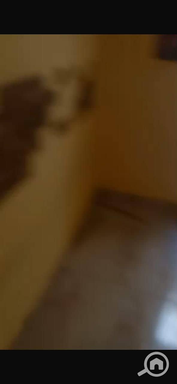 4 38229. jpg