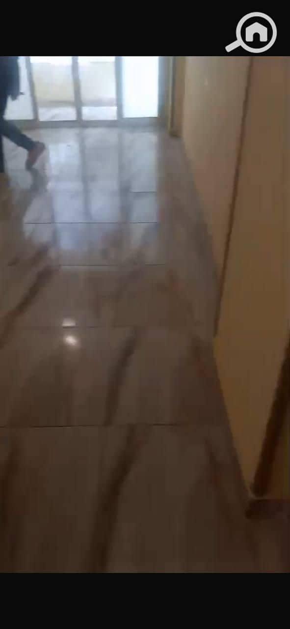6 38220. jpg