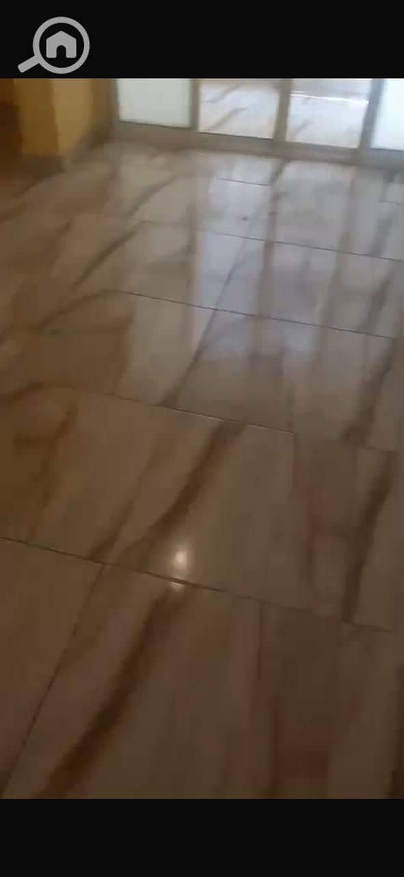 7 38223. jpg