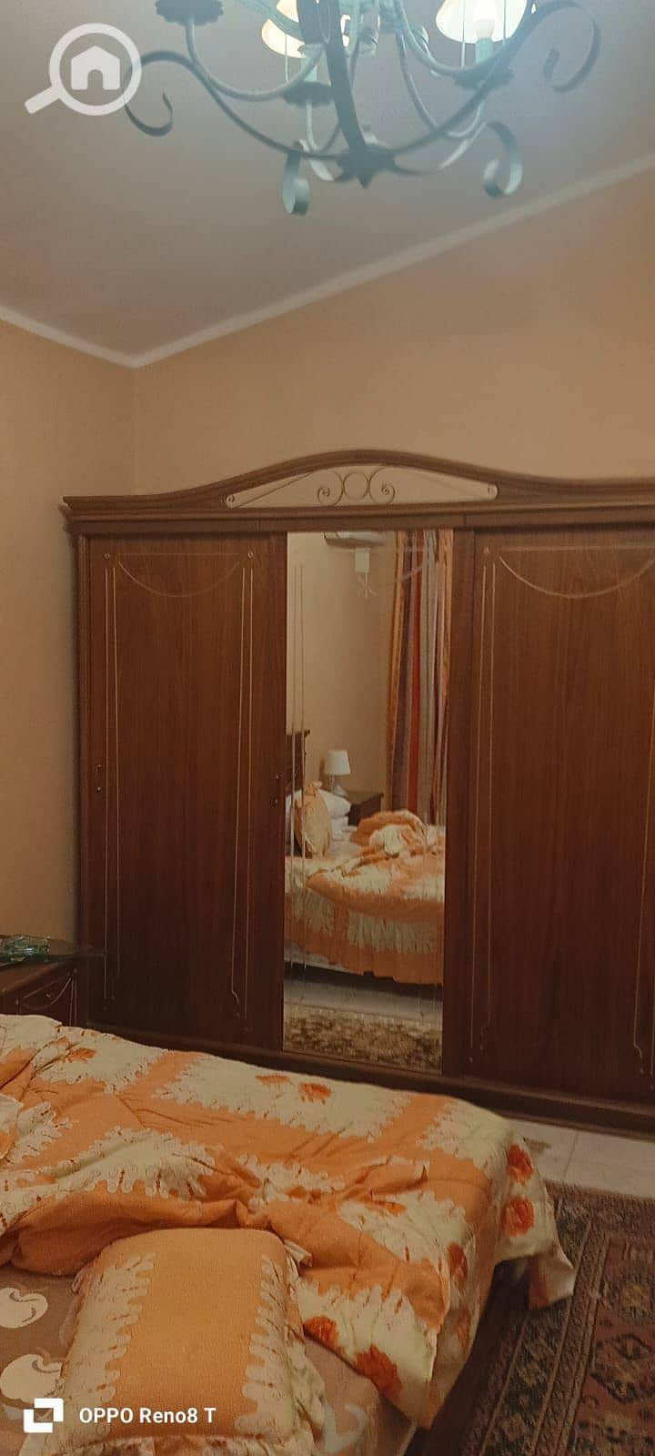 15 1000393597. jpg