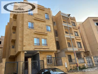 10+ Beds Villa for Rent in New Cairo, Cairo - 62ac3952-389e-47cb-ab76-71772360341b. jpg 10+ Beds Villa for Rent in New Cairo, Cairo - 62ac3952-389e-47cb-ab76-71772360341b. jpg