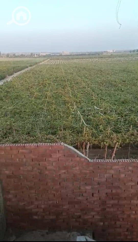 WhatsApp Image 2026-06-18 at 9.34. 02 AM (1). jpeg WhatsApp Image 2026-06-18 at 9.34. 02 AM (1). jpeg