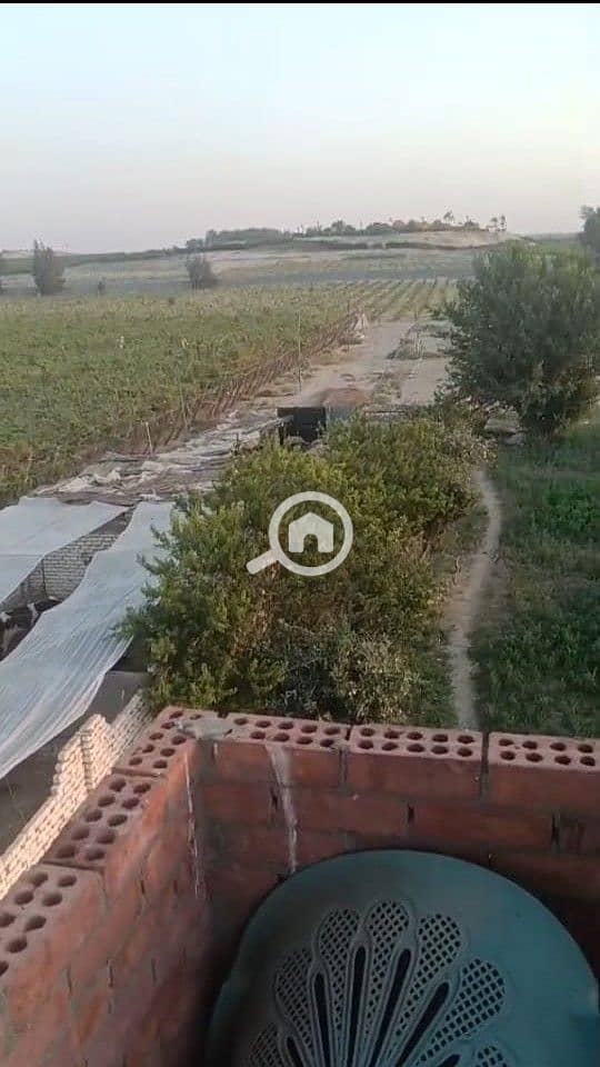 4 WhatsApp Image 2026-06-18 at 9.34. 01 AM (2). jpeg