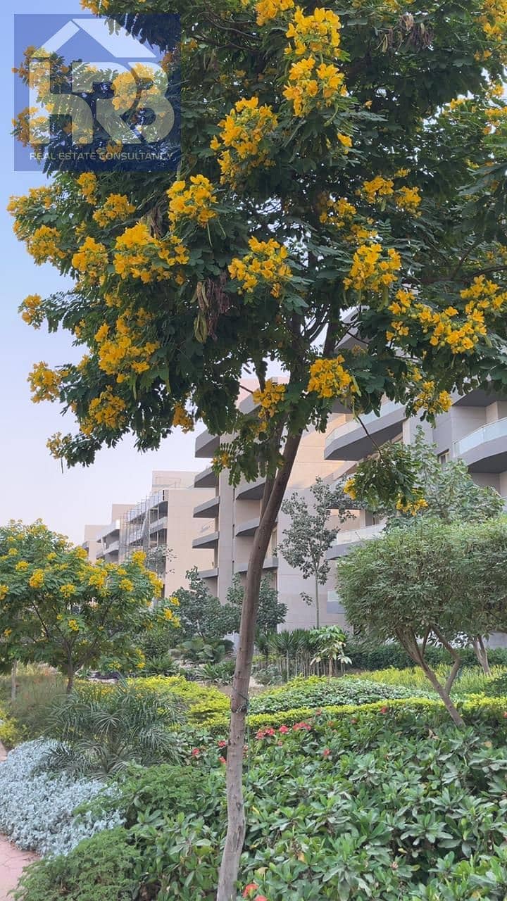 18 1001508598. jpg