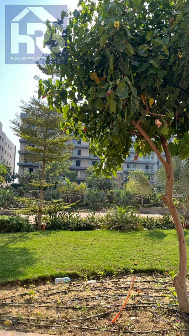 20 1001508595. jpg