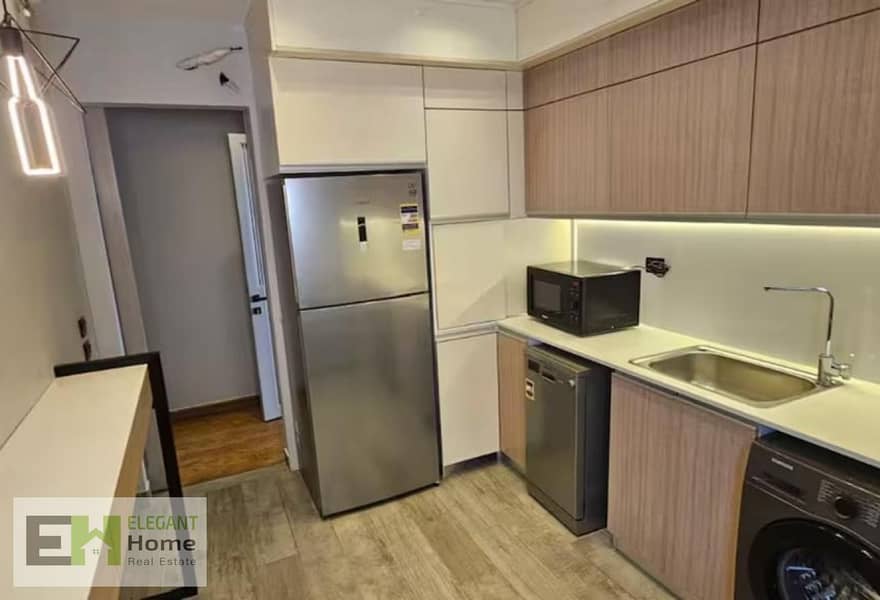 Furnished apartment view lake for sale in Lake View - Mehr