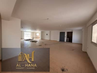 Factory for Rent in New Cairo, Cairo - WhatsApp Image 2026-06-14 at 3.47. 02 PM. jpeg Factory for Rent in New Cairo, Cairo - WhatsApp Image 2026-06-14 at 3.47. 02 PM. jpeg