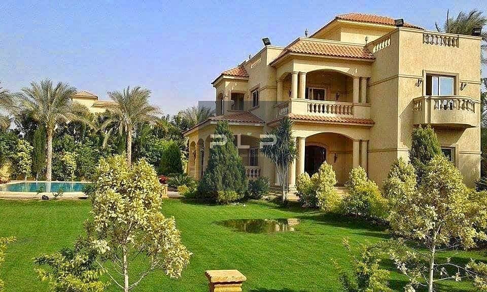 7 تالت. jpg