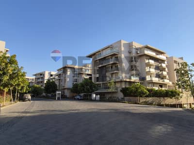 4 Bedroom Apartment for Sale in New Cairo, Cairo - ٢٠٢٦٠٦١٦_١٨٢٩٥٤. jpg 4 Bedroom Apartment for Sale in New Cairo, Cairo - ٢٠٢٦٠٦١٦_١٨٢٩٥٤. jpg