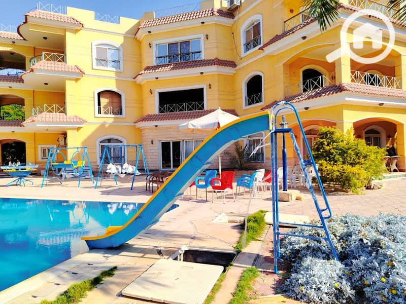 7 1000309237. jpg