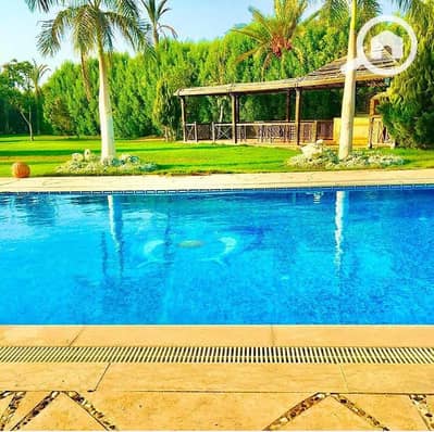 فیلا 3 غرف نوم للايجار في 6 اكتوبر، الجيزة - 1000309311. jpg فیلا 3 غرف نوم للايجار في 6 اكتوبر، الجيزة - 1000309311. jpg