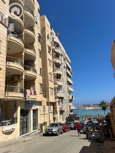 فلیٹ 2 غرفة نوم للايجار في مرسى مطروح، مطروح - 1000541895. jpg