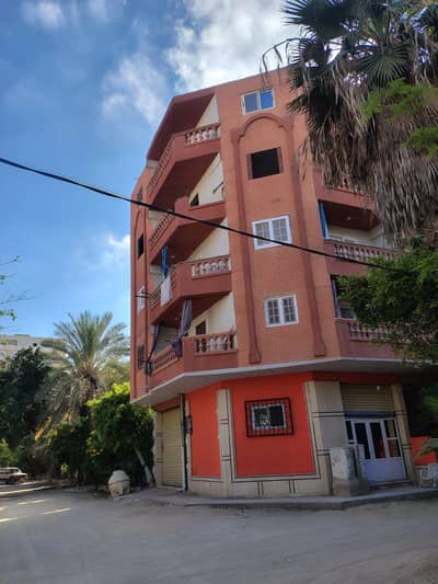 3 Bedroom Flat for Sale in Agami, Alexandria - شقه للبيع عماره مرخصه في بيانكي خلف فتح الله