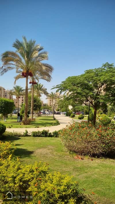 فلیٹ 3 غرف نوم للبيع في القاهرة الجديدة، القاهرة - WhatsApp Image 2026-06-18 at 11.41. 25 AM. jpeg فلیٹ 3 غرف نوم للبيع في القاهرة الجديدة، القاهرة - WhatsApp Image 2026-06-18 at 11.41. 25 AM. jpeg