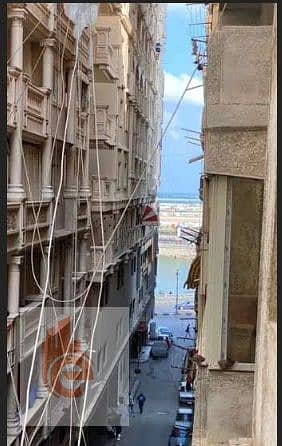 نتنمت. png نتنمت. png