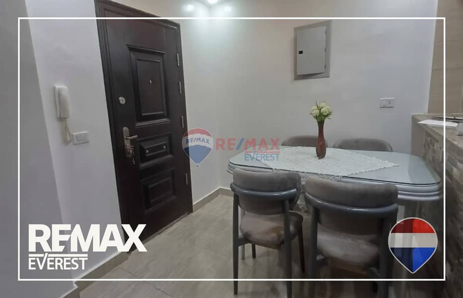 Fully Furnished Apartment for Rent in Janna Zayed 1 – Sheikh Zayed – pohled 6