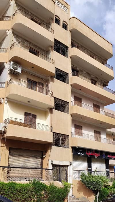 Other Commercial for Sale in 6th of October, Giza - عماره للبيع في الحي الخامس ٦ اكتوبر Other Commercial for Sale in 6th of October, Giza - عماره للبيع في الحي الخامس ٦ اكتوبر