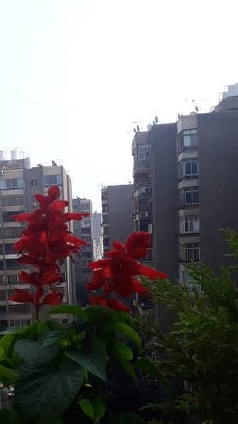 3 Bedroom Flat for Sale in Haram, Giza - شقة للبيع في عمارات ضباط مزرعة الهرم -خلف مديرية الزراعة -أول الهرم 3 Bedroom Flat for Sale in Haram, Giza - شقة للبيع في عمارات ضباط مزرعة الهرم -خلف مديرية الزراعة -أول الهرم