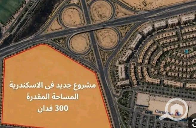4 1000224399. jpg
