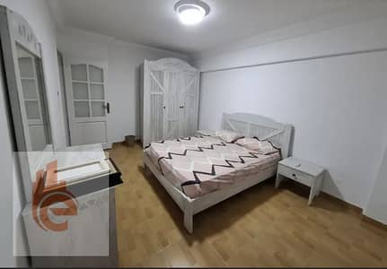 2 Bedroom Flat for Rent in Waboor Elmayah, Alexandria - غعهك. png