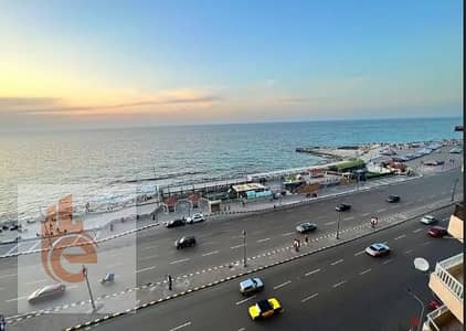 3 Bedroom Flat for Rent in Camp Caesar, Alexandria - 1. png
