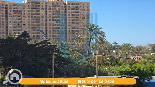 3 Bedroom Apartment for Rent in Montazah, Alexandria - 11. png