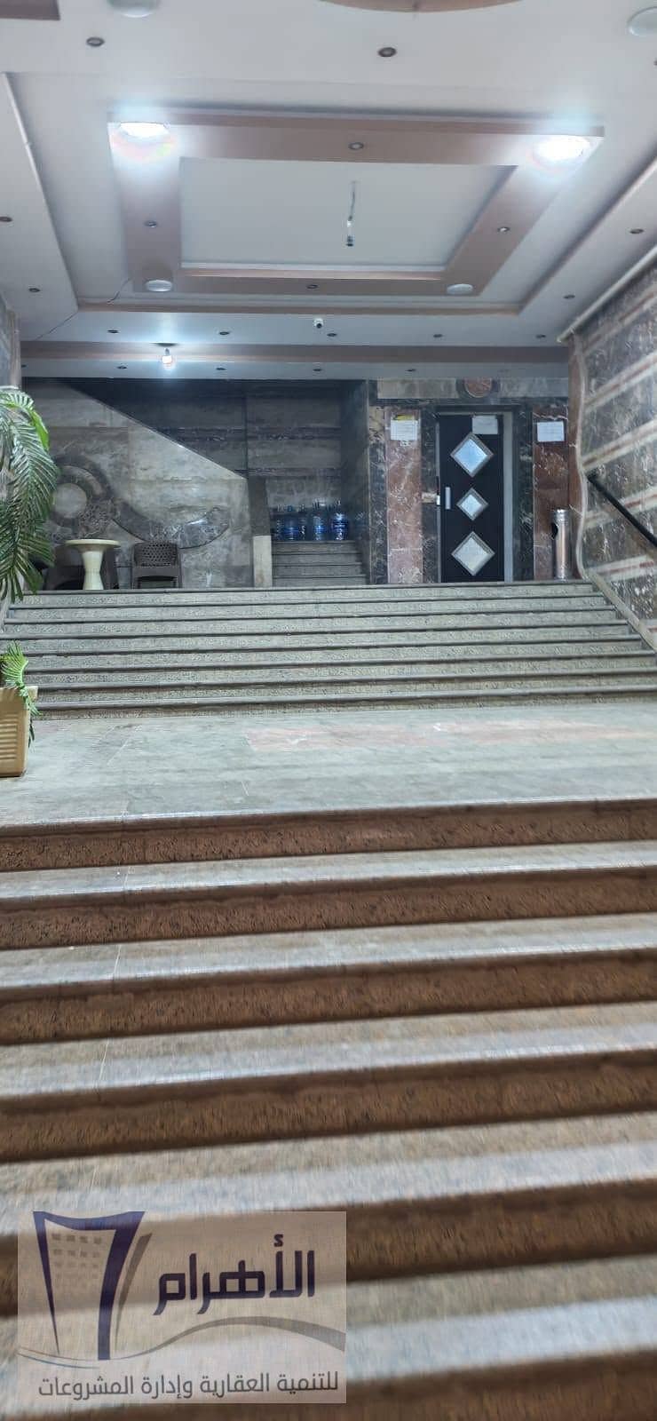 3 727323228_10166832304722835_738264373737886555_n. jpg