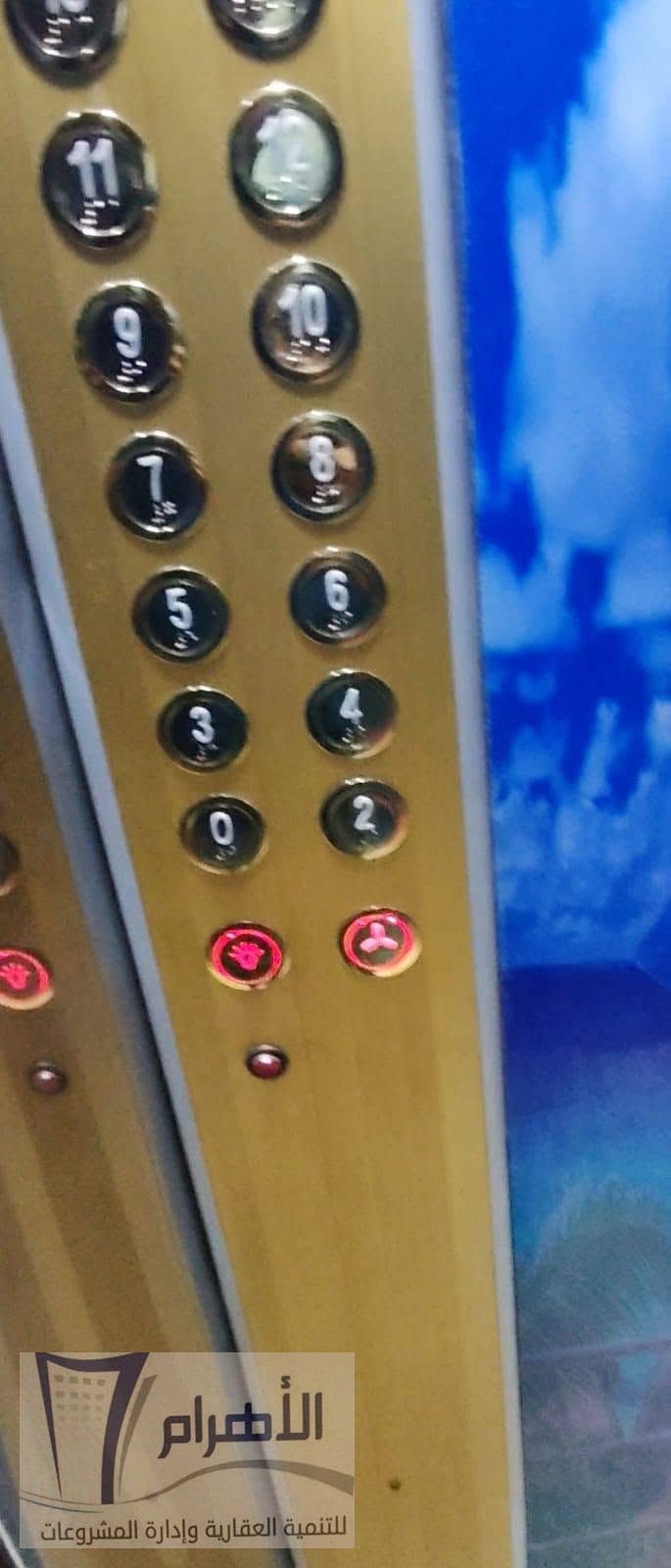 16 725803858_10166832304372835_1748336909945377420_n. jpg