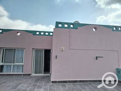 فیلا 3 غرف نوم للبيع في الساحل الشمالي، مطروح - 1000187763. jpg فیلا 3 غرف نوم للبيع في الساحل الشمالي، مطروح - 1000187763. jpg