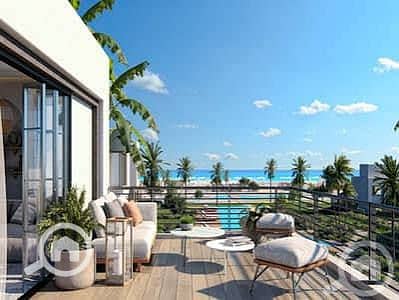 3 images (11). jpg