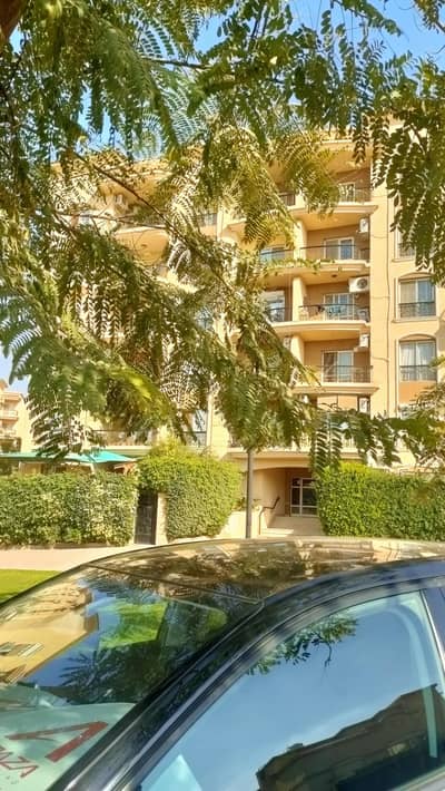 3 Bedroom Flat for Sale in New Cairo, Cairo - شقة للبيع