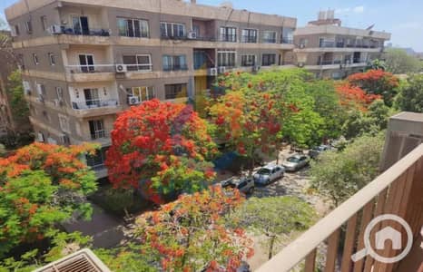 2 Bedroom Apartment for Sale in Maadi, Cairo - WhatsApp-Image-2026-06-08-at-12.45. 56-PM. jpg