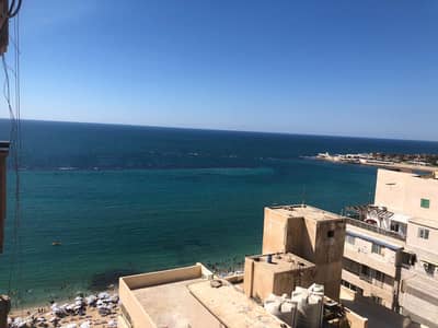 2 Bedroom Apartment for Sale in Mandara, Alexandria - شقة للبيع بالمندره اسكندريه مطله علي البحر وتكشف جزء من المنتزه 2 Bedroom Apartment for Sale in Mandara, Alexandria - شقة للبيع بالمندره اسكندريه مطله علي البحر وتكشف جزء من المنتزه