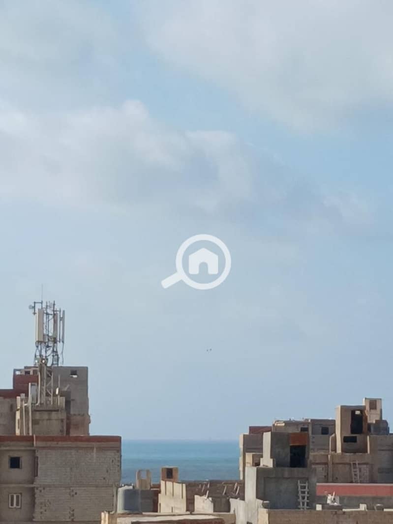 33 27098. jpg