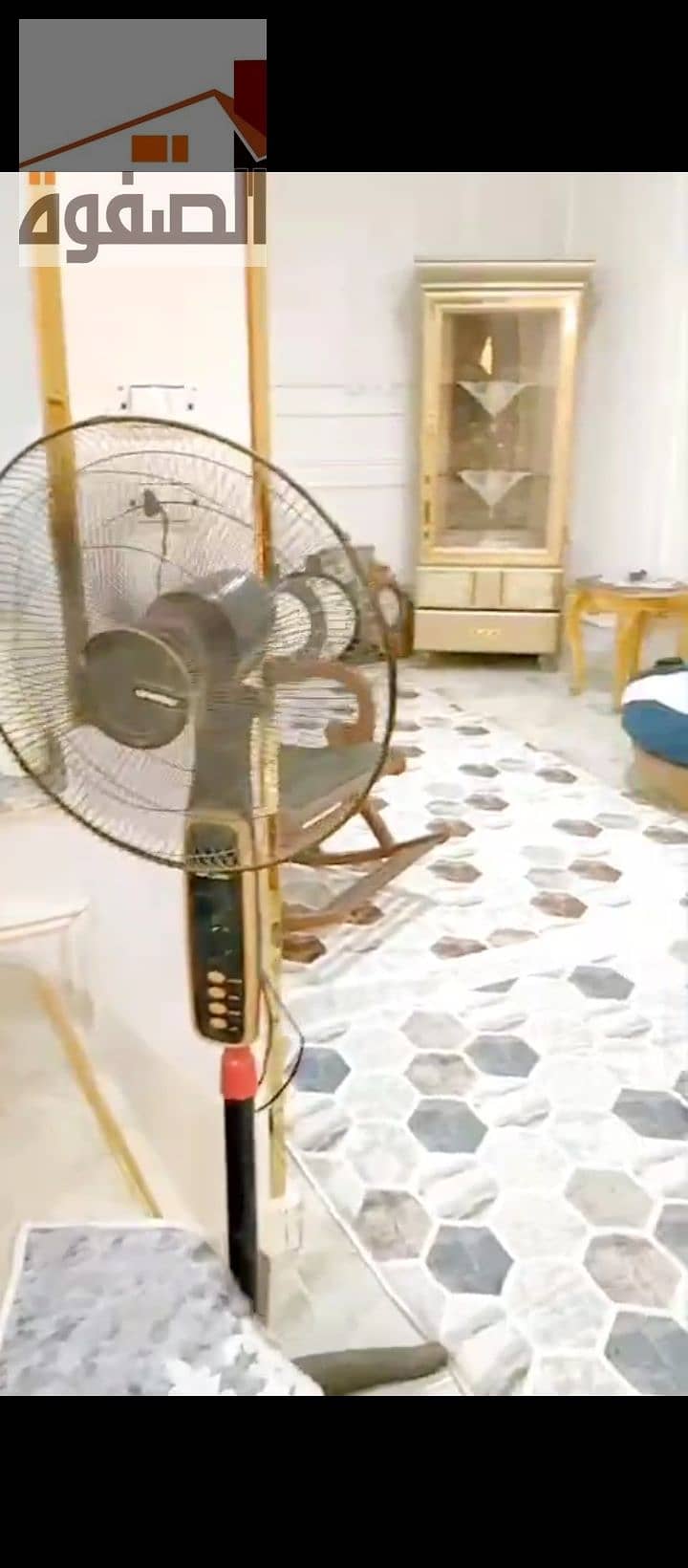 7 1000218041. jpg