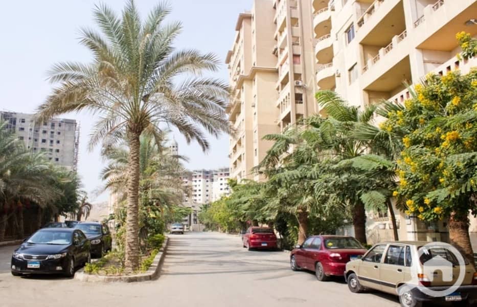 9 general palm (1). jpg