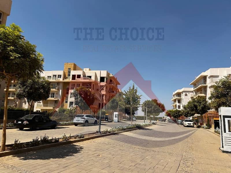 3 9eec5901-e69f-4219-b705-1ad428c0619f. jpg