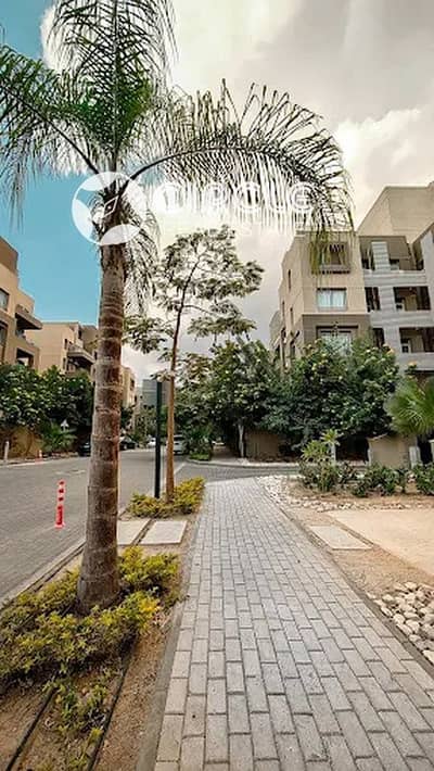 3 Bedroom Flat for Rent in New Cairo, Cairo - Image01. jpg