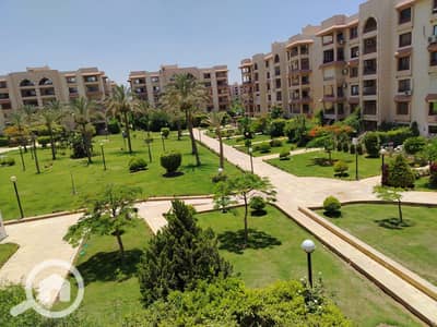 4 Bedroom Apartment for Sale in New Cairo, Cairo - WhatsApp Image 2026-06-21 at 3.04. 33 PM(1). jpeg