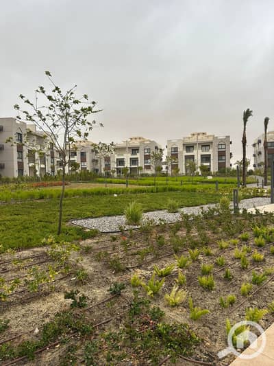 2 Bedroom Chalet for Sale in North Coast, Matruh - 34e90db3-20b8-447b-84ec-68e4359c082e. jpeg 2 Bedroom Chalet for Sale in North Coast, Matruh - 34e90db3-20b8-447b-84ec-68e4359c082e. jpeg