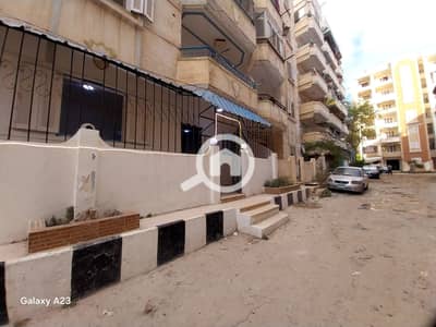 فلیٹ 2 غرفة نوم للبيع في النخيل، الإسكندرية - 1000429185. heic