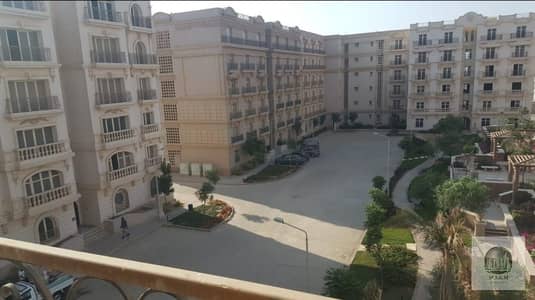 Studio for Rent in New Cairo, Cairo - WhatsApp Image 2026-06-22 at 3.00. 13 AM. jpeg
