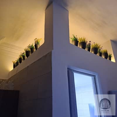 Studio for Rent in New Cairo, Cairo - WhatsApp Image 2026-06-22 at 3.04. 48 AM. jpeg Studio for Rent in New Cairo, Cairo - WhatsApp Image 2026-06-22 at 3.04. 48 AM. jpeg